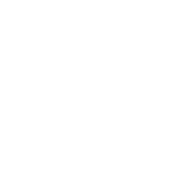 Motherlabs icon